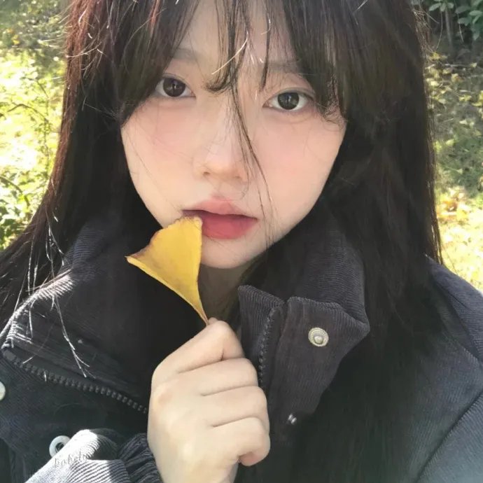 莫莉计划